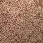 натуральная кожа Warrior