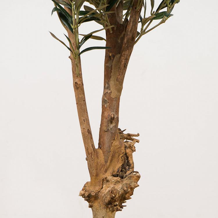 Искусственная олива Твист с плодами, S Twist Olive With Fruits 110 cm