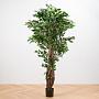 Искусственное дерево De Luxe Ficus Liana 180 cm