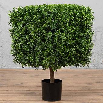 Boxwood Square 72 cm