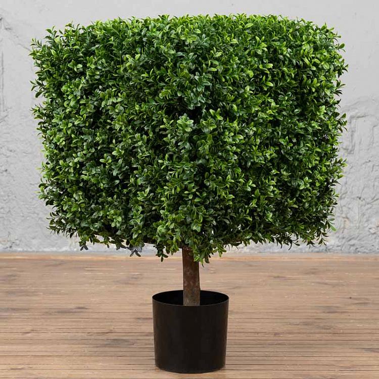 Искусственный самшит в форме куба Boxwood Square 72 cm