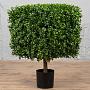 Искусственное дерево Boxwood Square 72 cm