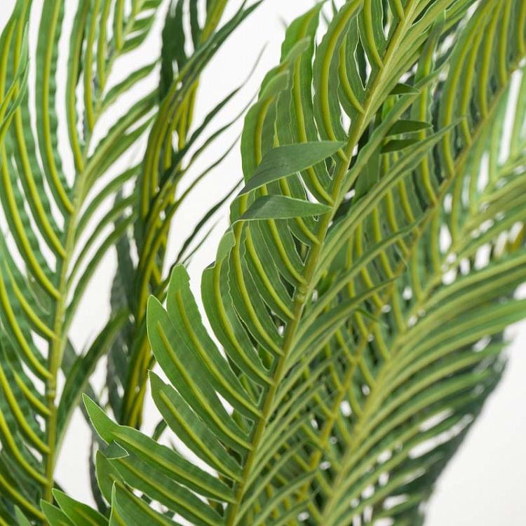 Искусственная пальма Арека Хризалидокарпус, L Areca Chrysalidocarpus Palm 170 cm