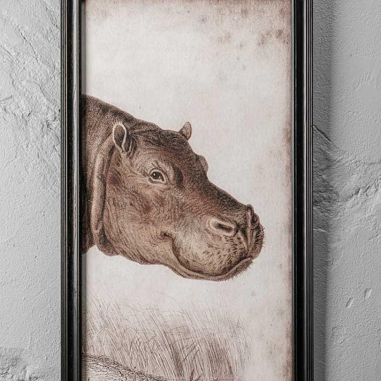 Картина-принт триптих Гиппопотам Set Of 3 Nature Hippo