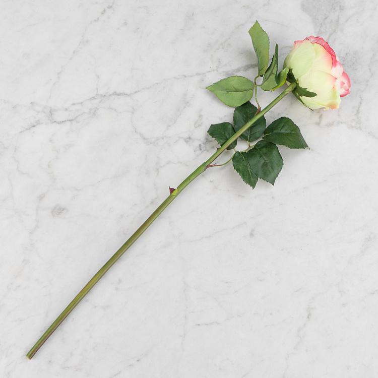 Искусственная роза Джема розово-лаймовая Gemma Rose Pink With Light Lime 56 cm