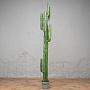 Искусственное растение Cereus Mexican Cactus 200 cm