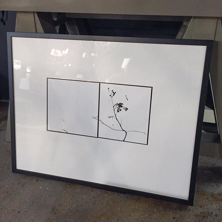 Фотография в раме Деревья 1 Photo Trees 1