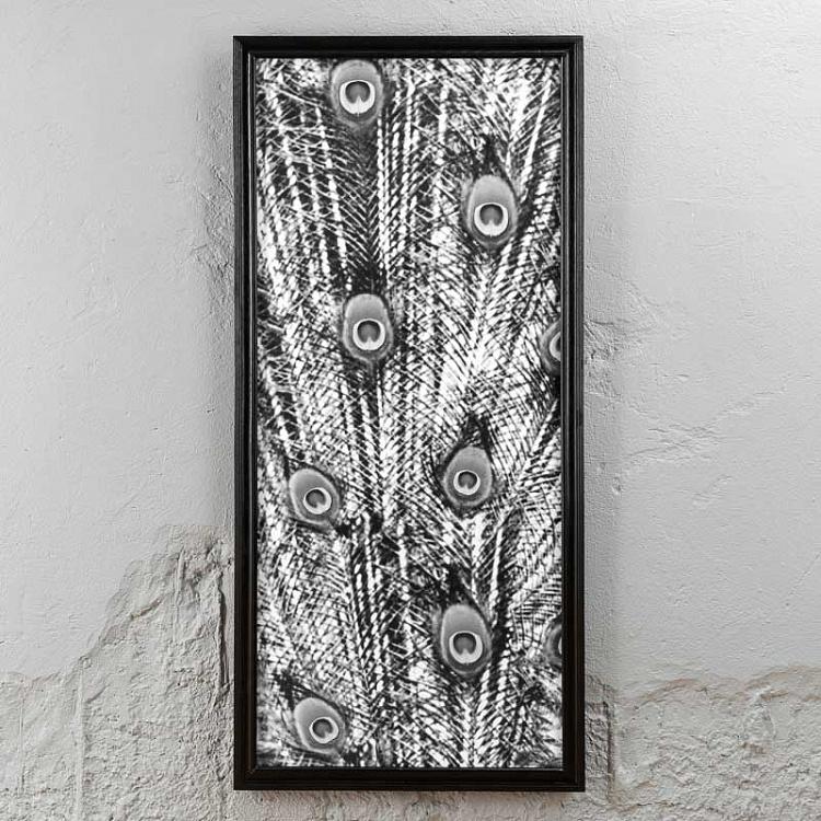 Панорамная картина-принт Хвост Павлина чёрно-белая, средняя часть Animal Peacock Black White 2 Middle
