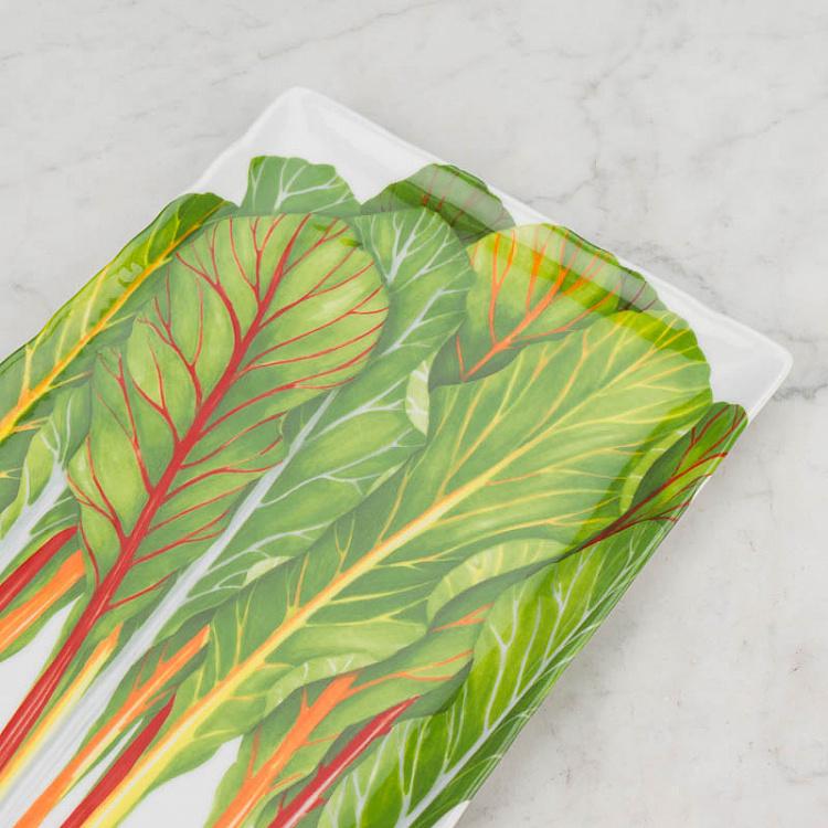 Прямоугольная сервировочная тарелка Средиземноморская диета Травы Dieta Mediterranea Erbette Rectangle Serving Plate