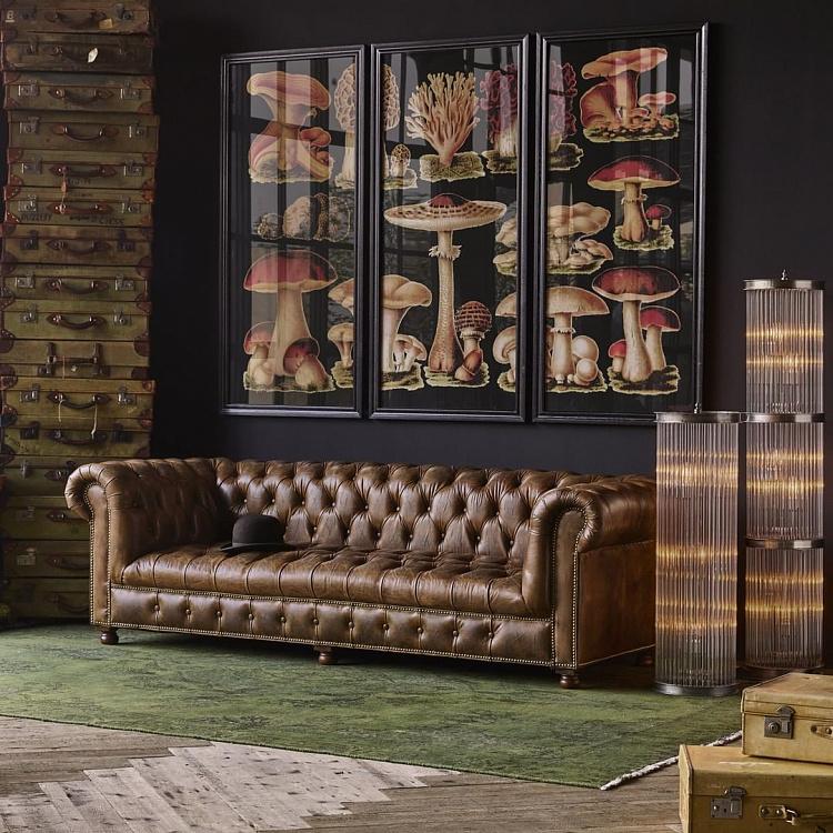 Фото-принт триптих Грибы Set Of 3 Mushrooms