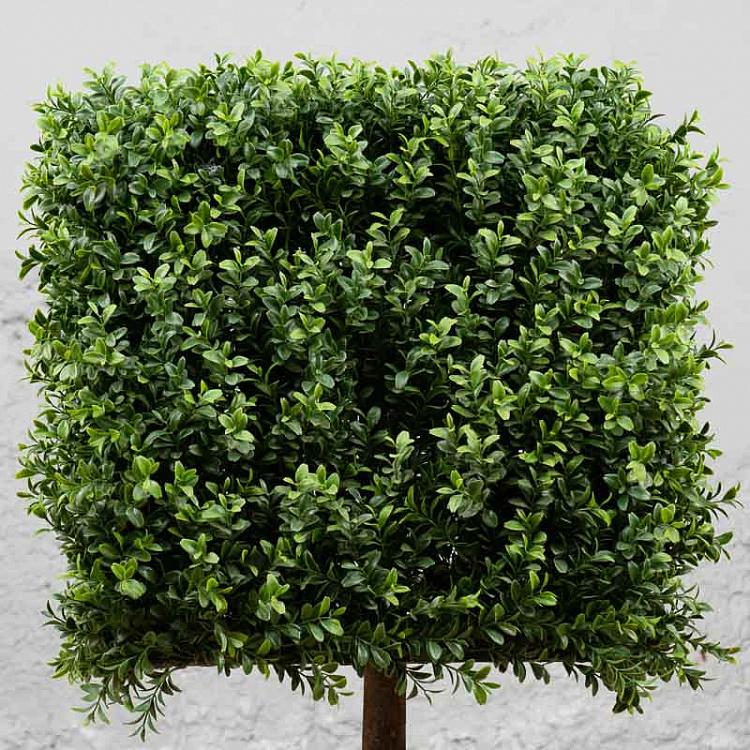 Искусственный самшит в форме куба Boxwood Square 72 cm