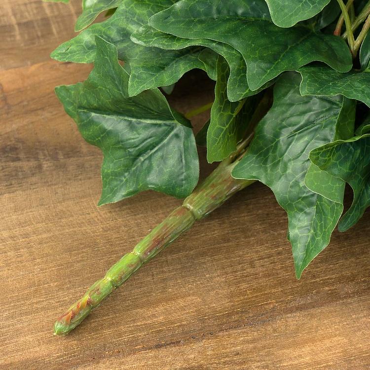 Искусственный английский крупнолистный плющ Биг Олд Темпл зелёный, L Big Old Temple Large Leaved Green English Ivy 170 cm