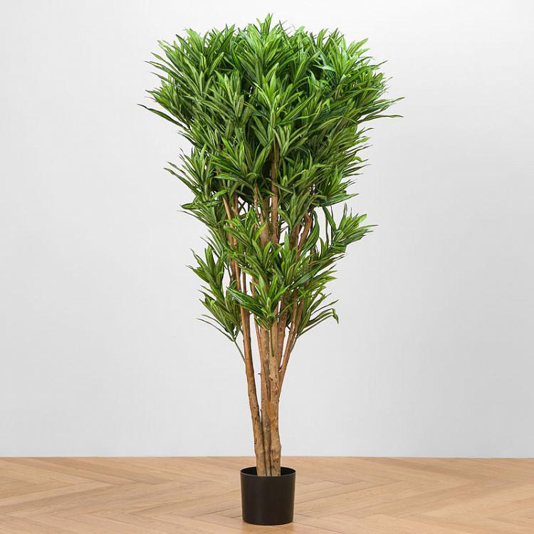 Искусственная ямайская драцена Рефлекса Jamaica Dracaena Reflexa 145 cm