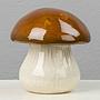 Ёмкость для хранения Airtight Stoneware Mushroom Box