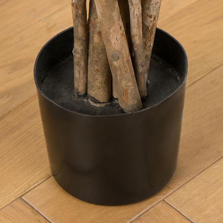 Искусственное дерево Кротон, 120 см Croton Tree 120 cm