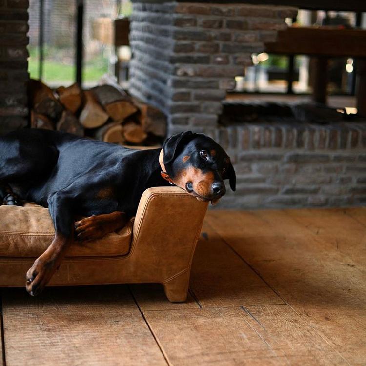 Коричневый диван для собак/кошек Массимо, L Massimo Pet Bed Large, Brogan Brown