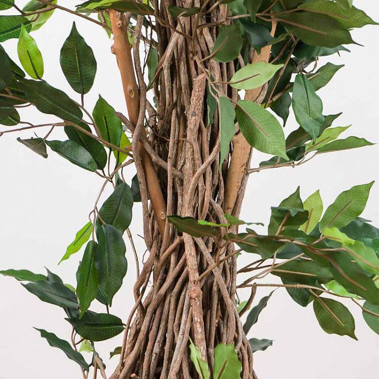 Искусственный фикус Лиана Де люкс, M De Luxe Ficus Liana 210 cm