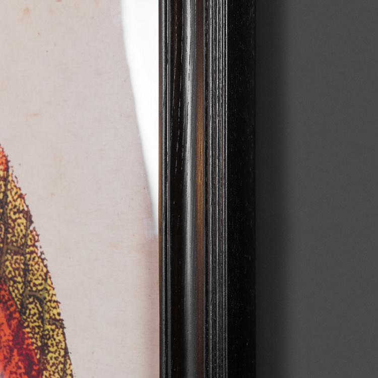 Картина-принт Оранжевый морской ёж Urchin Orange