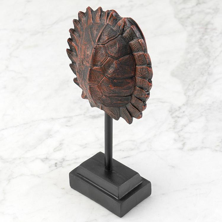 Статуэтка Панцирь черепахи на подставке Turtle Shell On Stand