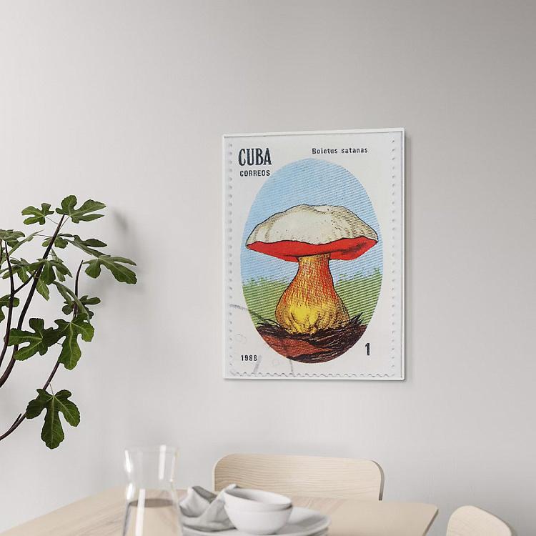 Фотография в рамке Боровик Сатанас, почтовая марка Кубы Boletus Satanas, Cuba Postage Stamp