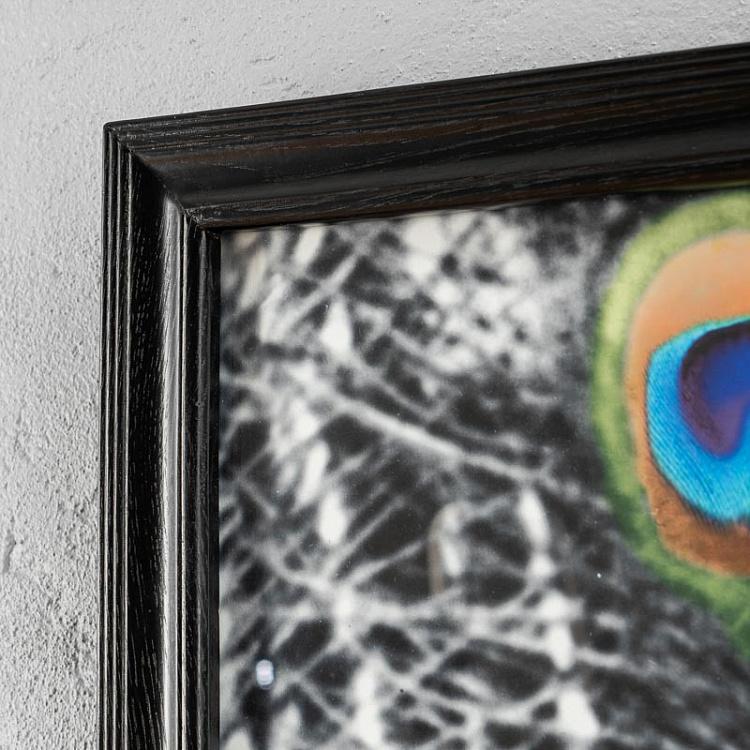 Фото-принт триптих Цветной хвост павлина Set Of 3 Animal Peacock Color