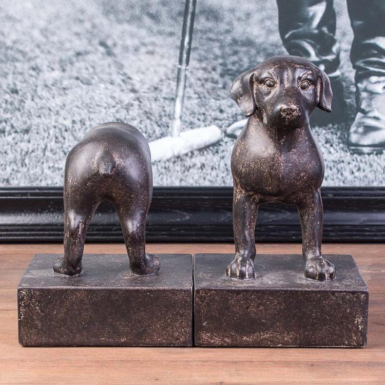 Набор из двух держателей для книг Гончая Book Ends Beagle