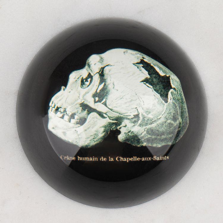 Пресс-папье с изображением черепа Glass Paperweight Skull