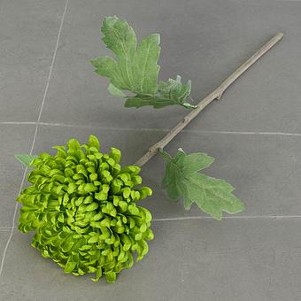 Искусственный цветок Shamrock Chrysanthemum Green 49 cm