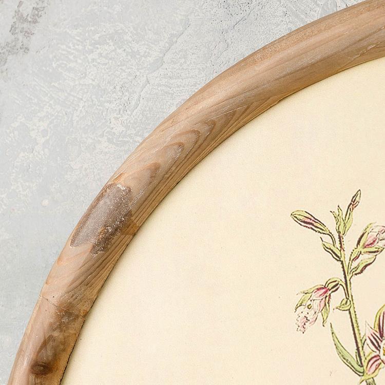 Набор из четырёх картин Флора Set Of 4 Round Frame Prints Flora