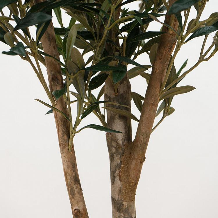 Искусственная олива Твист с плодами, M Twist Olive With Fruits 140 cm