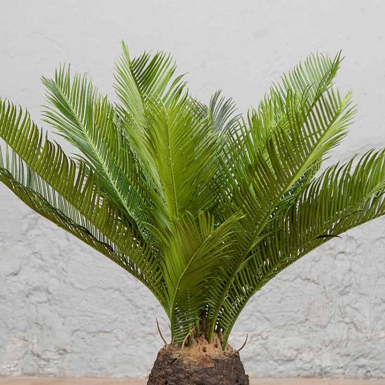 Искусственная пальма Цикас Cicas Palm 65 cm