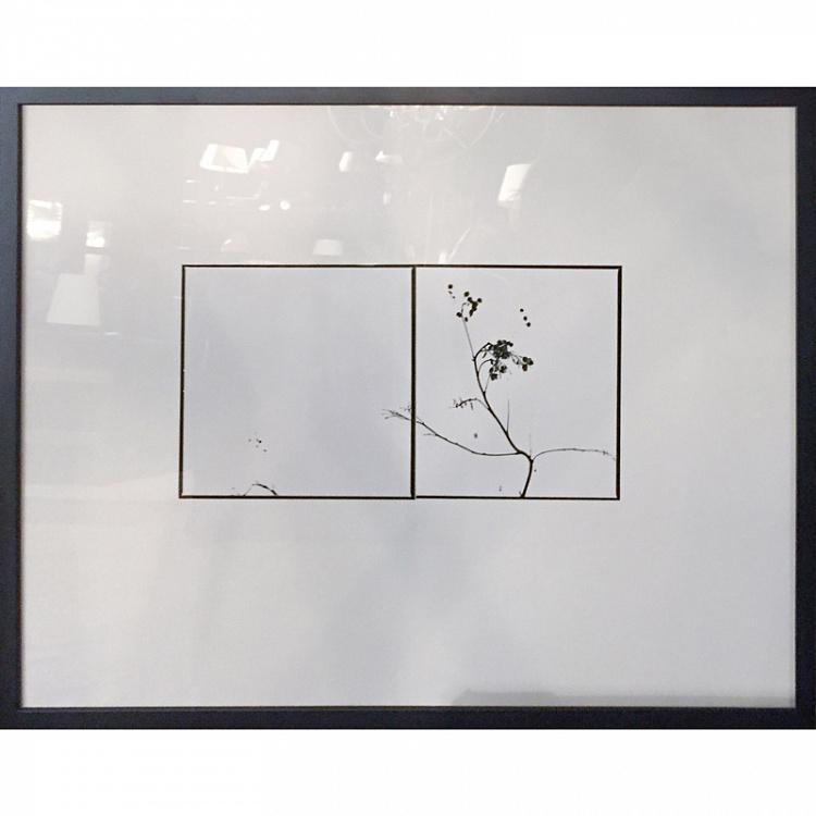 Фотография в раме Деревья 1 Photo Trees 1