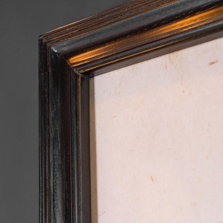 Картина-принт Оранжевый морской ёж Urchin Orange