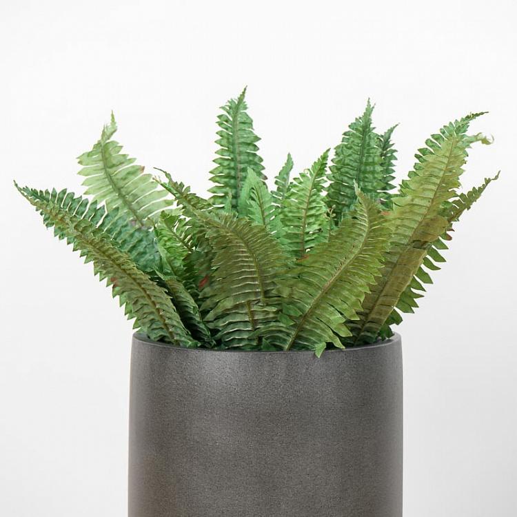 Искусственный папоротник Бостон Boston Fern 75 cm