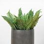Искусственное растение Boston Fern 75 cm