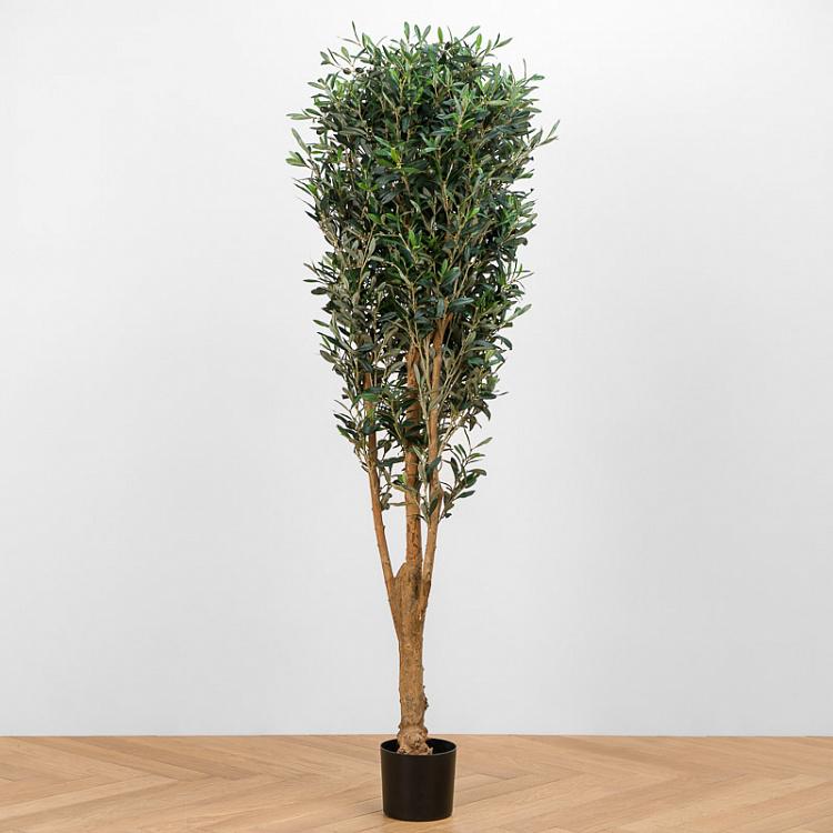 Искусственная олива Форест с плодами Forest Olive With Fruits 170 cm