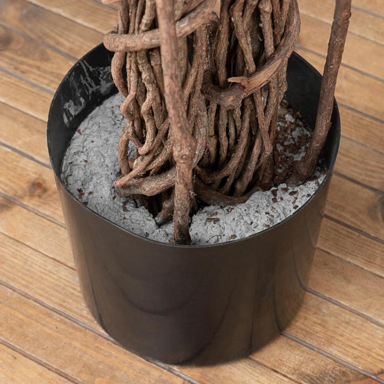 Искусственный фикус Бенджамина Селеста Celeste Ficus Benjamina 210 cm