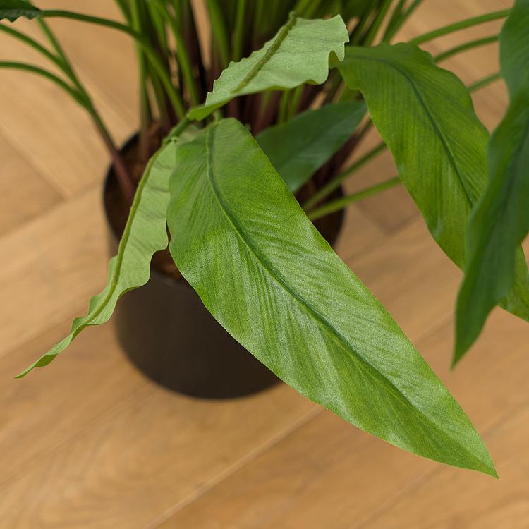 Искусственная калатея Kalatea 75 cm