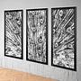 Фото-принт триптих Animal Peacock Black White Set Of 3
