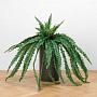 Искусственное растение Boston Fern Hanging 115 cm
