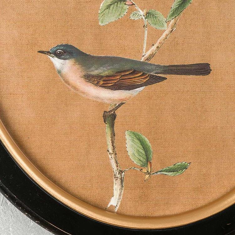 Картина-принт диптих Птицы Филомены Set Of 2 Oval Frames With Birds Philomene