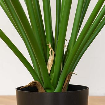 Искусственное растение Calidora Alocasia Bush 95 cm