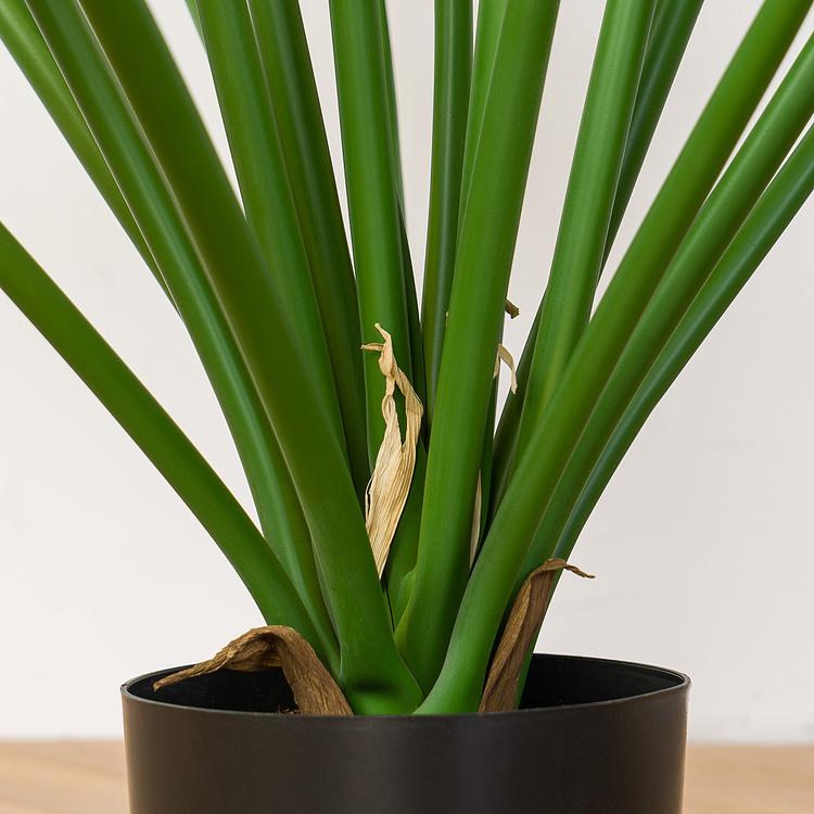 Искусственная кустовая алоказия Калидора, L Calidora Alocasia Bush 95 cm