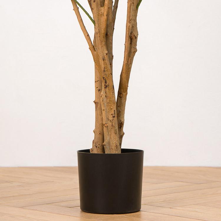 Искусственная ямайская драцена Рефлекса Jamaica Dracaena Reflexa 145 cm