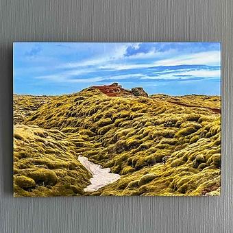 Searching The Hobbit Photo