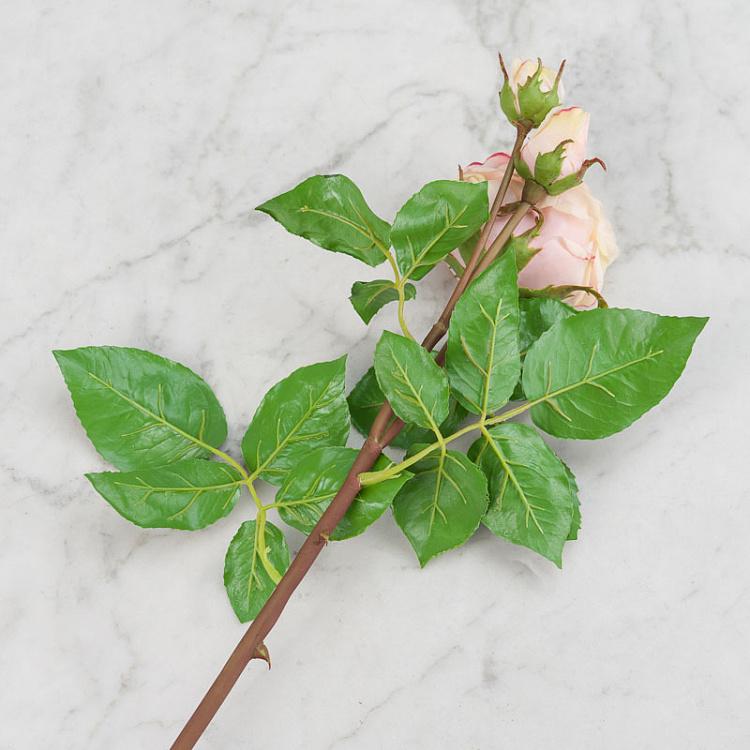 Искусственная роза Дэвид Остин кремово-розовая с лаймовым David Austin Rose Creamy Pink With Lime 50 cm