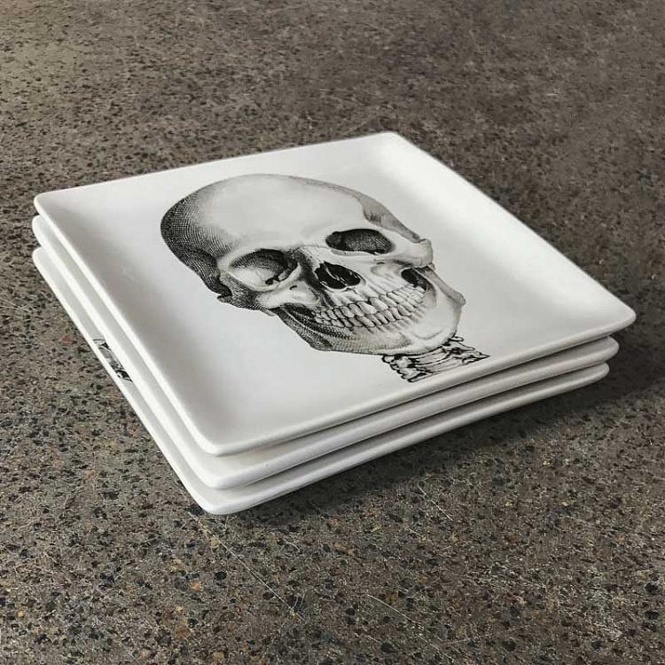 Набор из трёх тарелок Скелет Set Of 3 Plates Sciences Nat