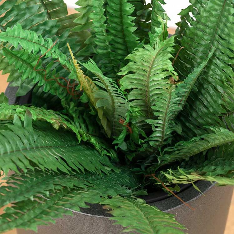 Искусственный папоротник Бостон Boston Fern 75 cm