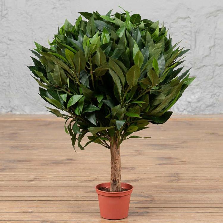 Искусственное лавровое дерево Laurel Ball Tree 60 cm