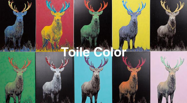 Встречайте партию цветных оленей